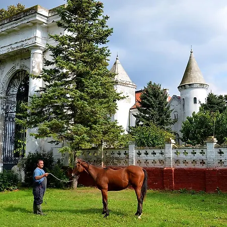 Frühstückspension Dvorac Fantast *