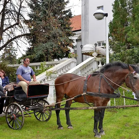Dvorac Fantast * Bečej