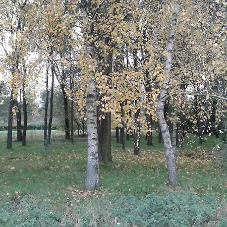 Dvorac Fantast * Becej