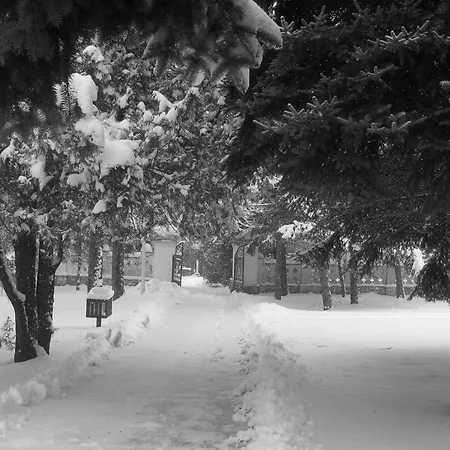 Frühstückspension Dvorac Fantast *