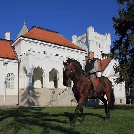 Bed & Breakfast Dvorac Fantast *